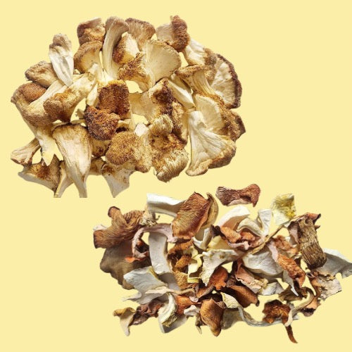 Dried Mushrooms